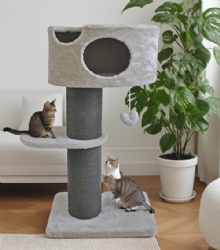 Heavy-Duty Plush Cat Condo with Thick Scratching Posts