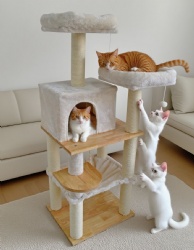 Multi Level Solid Wood Cat Tower