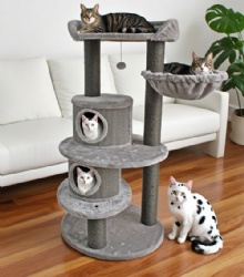 Level Cat Play Structure at Home