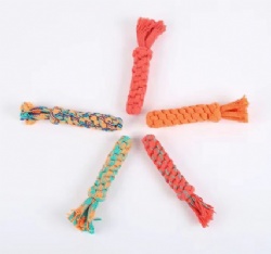 Dog chew Carrot