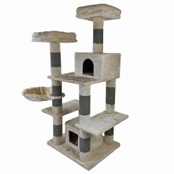 Susan Cat activity condo Tree