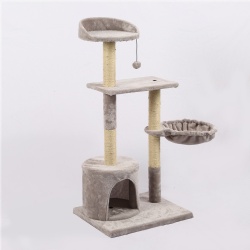 cat climbing tower
