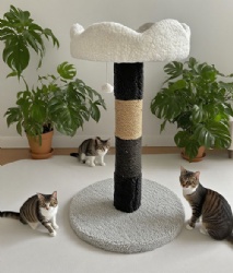 PurrCloud Cat Tower 60cm